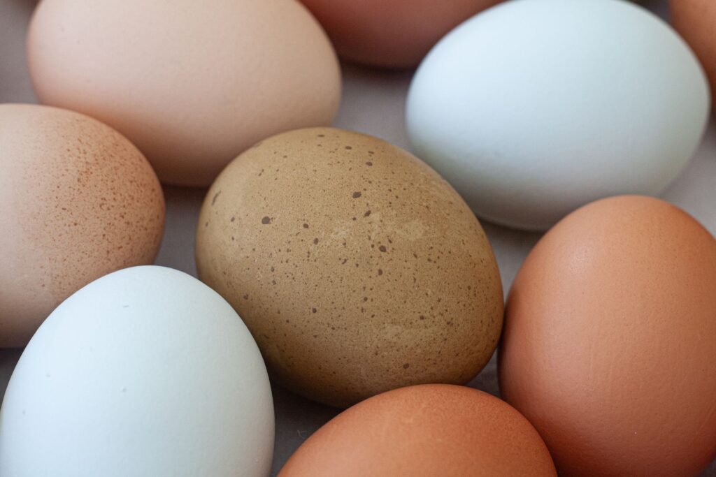 eggs for muscle growth